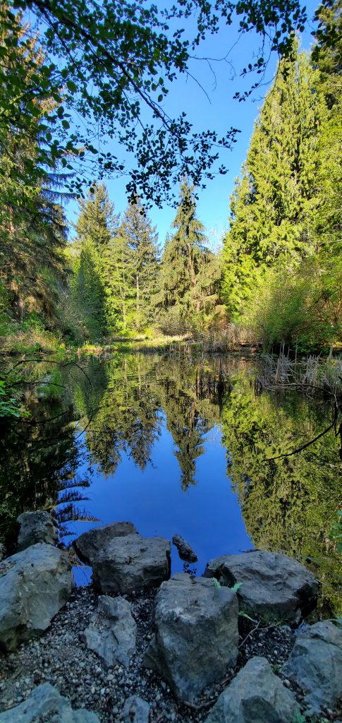 Photography by Sharon K. Summerfield near Englishman River in Parksville, BC