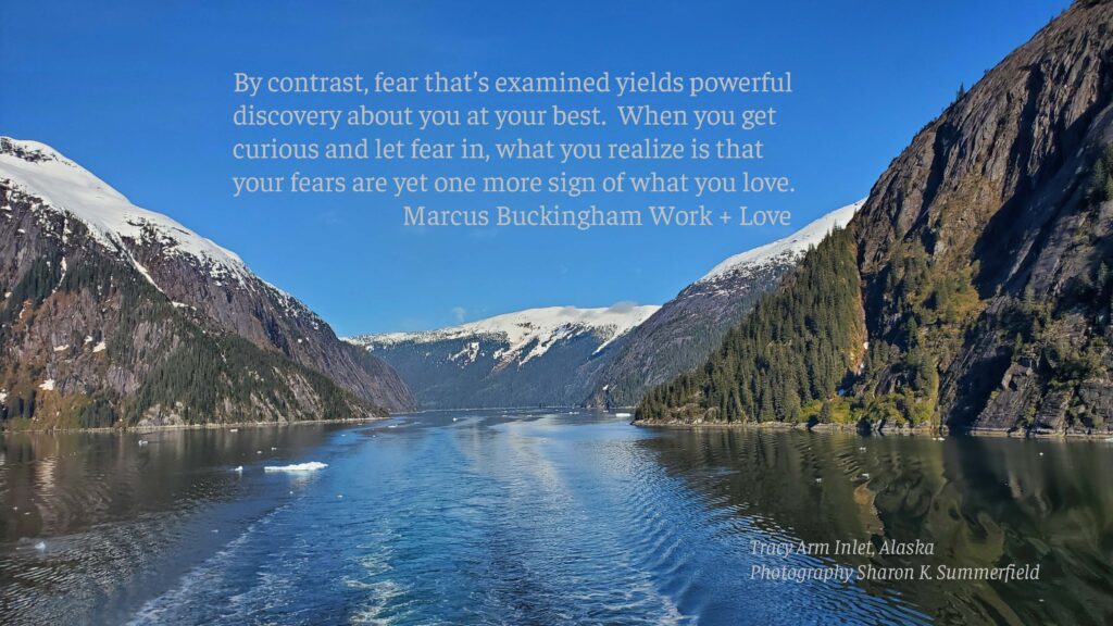 Photography by Sharon K. Summerfield in Tracy Arm Inlet in Alaska. Thought from Love + Work, written by Marcus Buckingham