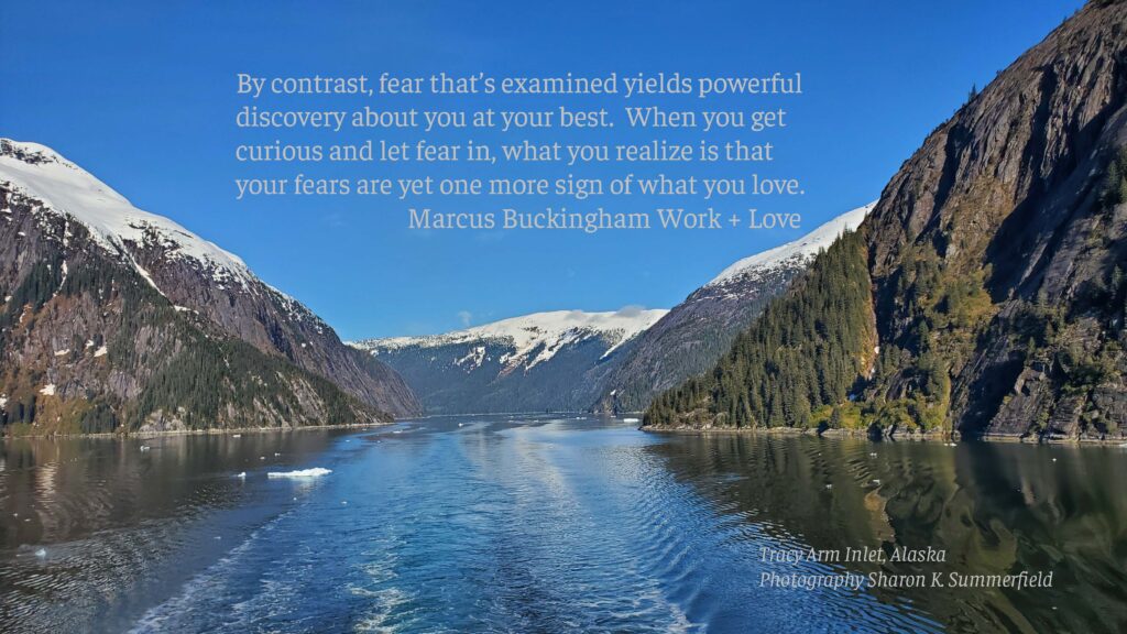 Photography by Sharon K. Summerfield in Tracy Arm Inlet in Alaska.  Thought from Love + Work, written by Marcus Buckingham