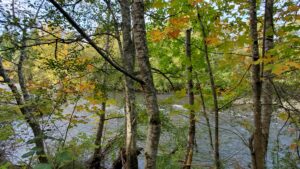 Photography by Sharon K. Summerfield; Fall walk at Englishman River near Parksville, BC