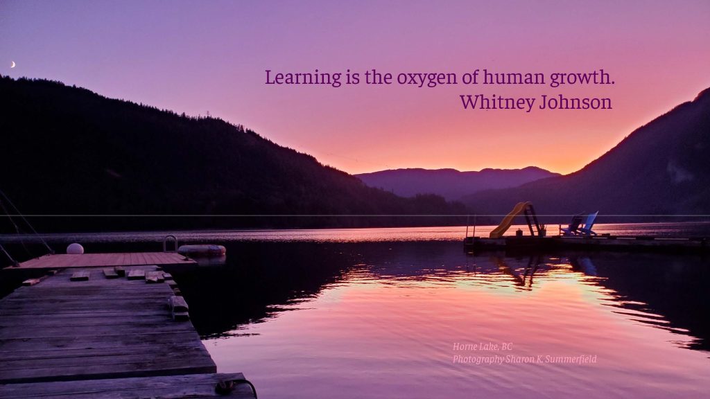 Photography by Sharon K. Summerfield at Horne Lake, BC Quote by Whitney Johnson