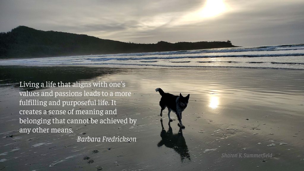 Photography by Sharon K. Summerfield as the sun was setting in Tofino. Thought by Barbara Fredrickson.
