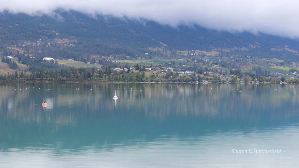 Misty morning at Kalamaka Lake in Vernon, BC. Photography by Sharon K. Summerfield
