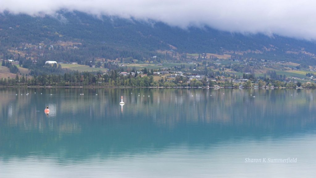 Misty morning at Kalamaka Lake in Vernon, BC.  Photography by Sharon K. Summerfield