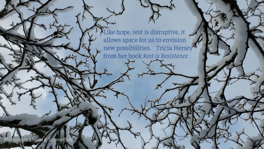 Photography by Sharon K. Summerfield following a winter storm. Quote by Tricia Hersey