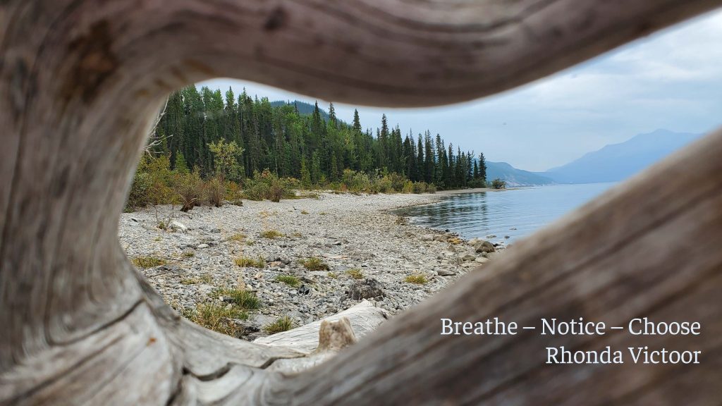 PHotography by Sharon K. Summerfield. Thought by Rhonda Victoor